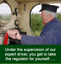 Expert Driver Expert Driver